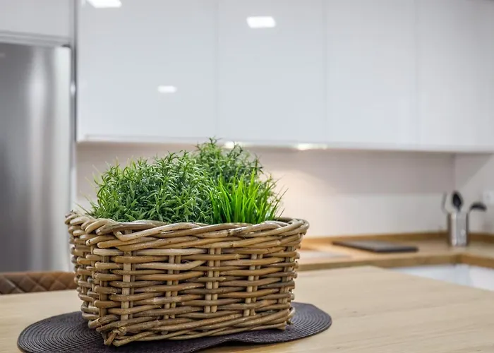 Apartment Gran De Ensueno↑calidades 5 Hab 2banos Cadiz